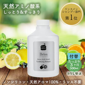 【月間優良ショップ受賞】植物 アミノ酸 ヘア シャンプー 天然 低刺激 ノンシリコン 皮脂 無添加 オーガニック フケ かゆみ 痒み 美 頭皮 臭 髪 地肌 乾燥 保湿 スカルプ ケア 美容室 専売 やさしい ブリッサ 500mL 付替 詰め替え 送料無料【RSL】