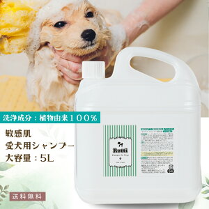 yr[eŃv[gIzp q Vv[ pVv[ Y ybgVv[ I[KjbN tP 玉   ybg  h q VjA L EL 