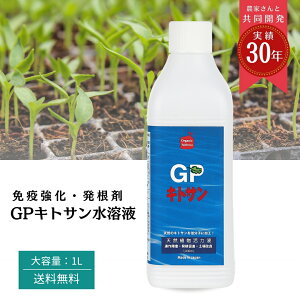 yr[eŃv[gIzVR ᕪq LgT 엿   ʕ _ A I[KjbN JjK K[fjO K[f pi  Ԓd t  AQ ƒ؉ _ ͔| t