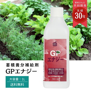 yr[eŃv[gIz t _   ƕs ቷQ Q ƒ؉ _͔| y t̔엿     t[ ǂ񂱕a  K[f ؉ 