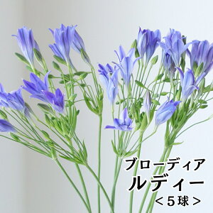 y9/19`ő49OFFӃZ[ző1,455~OFF N[|!! K[fjO HA  u[fBA geCA fB  q 񂹐A A Ԗ  K[f ͔| v^[ x