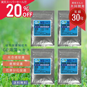 yyVX[p[SALE20OFF!!z܂Ƃߔ  ʗvf C GLX| _ L@͔| mEF[ K[fjO ƒ؉  ʕ _ _ L@ yǍ  AM ~l GP C