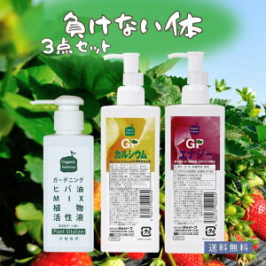 yȂv[gtzȂ̃Zbg VR A Xqo ͍ JVER L^_JVE ~ϗ{ ƕs ቷQ Q _͔| ƒ؉ H 