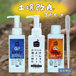 yr[eŃv[gIzyǃZbg yÂ ܂ Aւ VR ᕪqLgT _ L` JjK H؏ AQ  aQ ƒ؉ KN oS S 