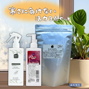 y40OFF!!zɕȂZbg VR A Xqo ͍ { ƕs ቷQ H_ t~_ PC_ y _͔| ƒ؉ H   Ԓd ϗtA _ 