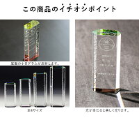 ＜送料無料＞Sサイズトロフィークリスタルガラス名入れ記念品表彰状加工費込OR-20（S）サイズ