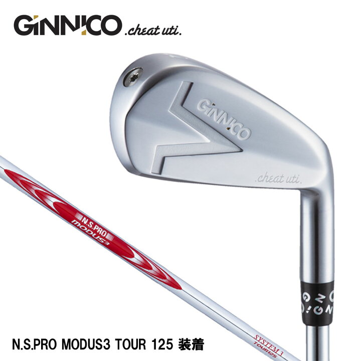 楽天市場】イオンスポーツ ジニコ アイアンユーティリティ N.S.PRO 