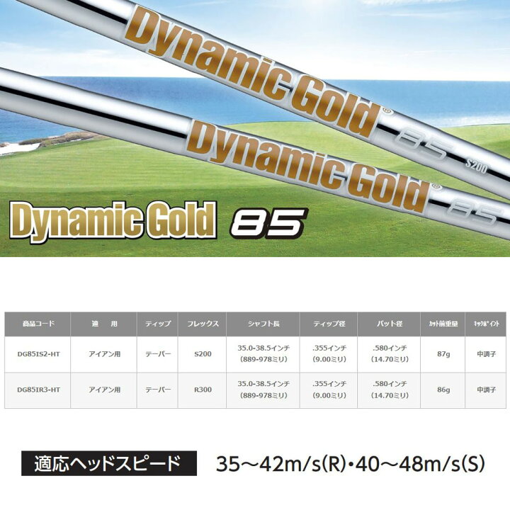 楽天市場】UT用 トゥルーテンパー ダイナミックゴールド 85  