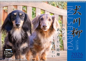【割引クーポン発行中】 2026年【 月めくり / ダックス犬川柳 】 壁掛けカレンダー ダックス犬川柳 スケジュール いぬ 動物写真 書き込み インテリア　9月より発送開始