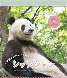 【割引クーポン発行中】 2026年 シャンシャン カレンダー パンダ川柳(高氏貴博) 25CL/046