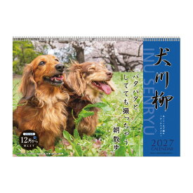 【エントリーでポイント10倍 割引クーポン発行中】 【9月より発送開始】アートプリントジャパン カレンダー 2027 ダックス川柳 壁掛け 犬 写真 川柳 APJ 257×364mm 14枚つづり