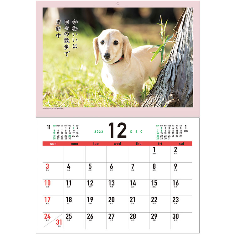 即納最大半額 022 ﾀﾞｯｸｽ川柳 壁掛け 2024年 ダックス犬川柳 令和5年 書き込み インテリア カレンダー 動物写真 いぬ スケジュール 暦  カレンダー