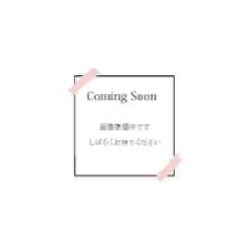 【9月より発送開始】アートプリントジャパン カレンダー 2027 プードル川柳 週めくり 犬 トイプードル 卓上 壁掛け APJ 54枚つづり