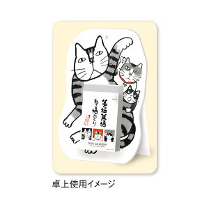 y11/27܂ŃGg[2P5{E310{EN[|sz V{J_[ 2026N Εݕ ˂߂i3j NK8810 (2026N 1n܂)