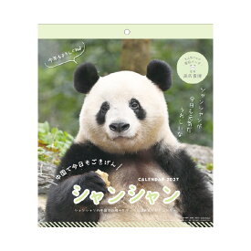 【エントリーでポイント10倍 割引クーポン発行中】 【9月より発送開始】アートプリントジャパン カレンダー 2027 シャンシャン パンダ川柳 in 中国 高氏貴博 壁掛けカレンダー パンダ 写真 川柳 毎日パンダ APJ 300×260mm