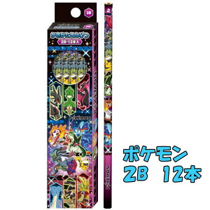 yyVLO܁z |P |PbgX^[ |Ps[X y@҂@z@M 2B 1_[X VEm[g