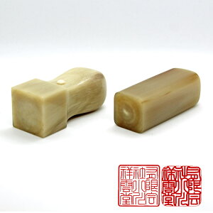 y11/11܂ŃGg[2wP5{E310{EN[|sz  s ͂ F  @l p I_ 24mm yz