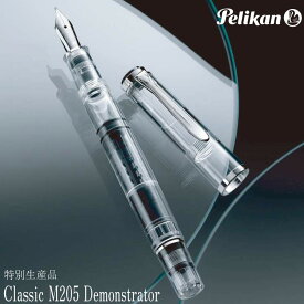 Pelikan ペリカン 特別限定品　M205 デモンストレーター　F芯 万年筆　Classic M205 Demonstrator