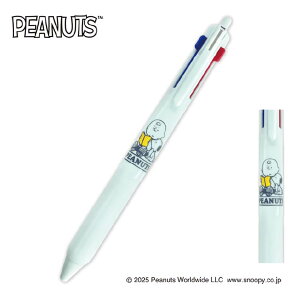 �y�G���g���[�Ń|�C���g10�{ �����N�[�|�����s���z �W�F�b�g�X�g���[�� �X�k�[�s�[ ���@�\�y�� 2��1 �r�[�G�X�G�X MSXE3-800