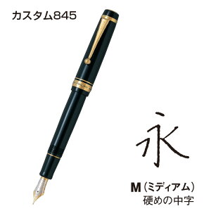 �y�G���g���[�Ń|�C���g10�{ �����N�[�|�����s���z PILOT ���N�M �M�L�� �������N�M �J�X�^��845 ��^ 15���T�C�Y�̃y����