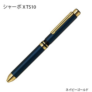 �y�G���g���[�Ń|�C���g10�{ �����N�[�|�����s���z �y�y�V�����L���O���܁z �[�u�� �V���[�{ X TS10�@���@�\3��1�i3�F�{�[���y���{�V���[�y���j �ւ��c�t��