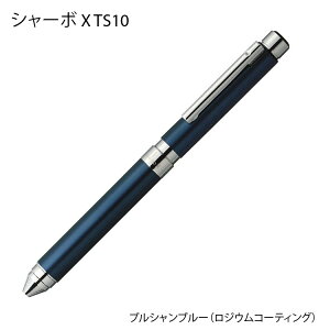 y11/11܂ŃGg[2wP5{E310{EN[|sz yyVLO܁z [u V[{ X TS10@@\31i3F{[y{V[yj ւct