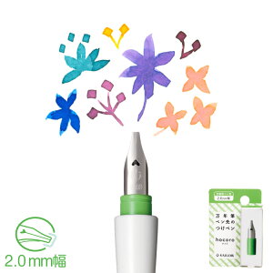 NMŷy hocoro ɑ@2.0mm@(y@Pij