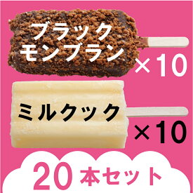 誕生より50周年、驚異のロングラン！九州のソウルフード！竹下製菓 ブラックモンブラン10本&ミルクック10本セット アイス チョコ 夏 お菓子 ギフト まとめ買い クリーム クランチ バニラ お取り寄せ