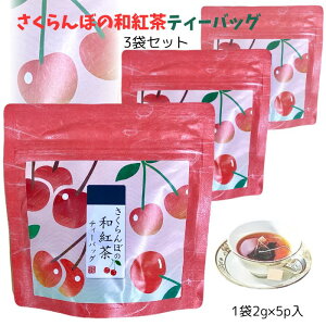R`Y ڂ̘ageB[obO 2g×5p 3܃Zbg ÉY g ag t[ceB[ t[o[eB[  `F[ eB[obO 쏤X