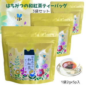 Y݂͂̘ageB[obO 2g×5p3܃Zbg ÉY g ag t[o[eB[ ₳Â݂ƖFȍ eB[obO 쏤X