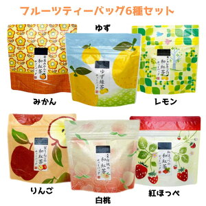 フルーツティー6種セット 青森産蜜りんごの和紅茶 静岡産紅ほっぺの和紅茶 山梨産白桃の和紅茶 寄居みかんの和紅茶 瀬戸内レモンの和紅茶 徳島産ゆず緑茶 荻野商店 マグカップ用ティーバ