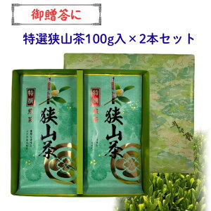 y䑡 Mtgz ʌY [ R100g×2ܔ { Β R [ 쏤X