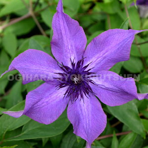 N}`X eKCfBO v~Xf 2Nc