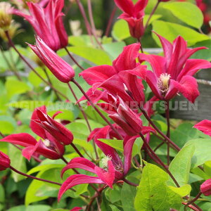 N}`X eOu^C r[eBf 2Nc