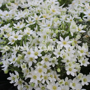 N}`X@J[g}j[ eW[f 2Nc