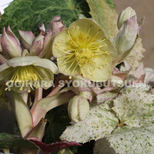 NX}X[Y@Xej[ e}A[Wf c