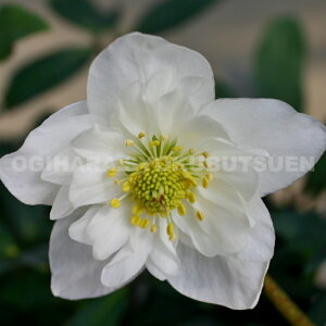 NX}X[Y@jQ e_u t@^W[fiNcj