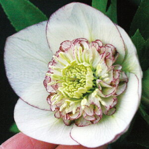 NX}X[Y@sReB[ Z~_un@icj