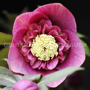 NX}X[Y@CfBAbh Z~_un@icj