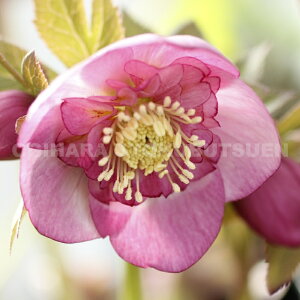 NX}X[Y@~XeB[Y Z~_un@icj