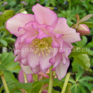 NX}X[Y@eGKX tAsNfiNcj