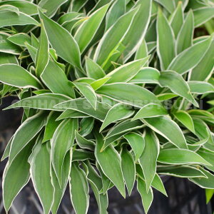 M{EVizX^jefiu`EREji瓇M{EVj