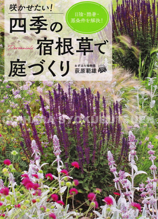 楽天市場】【書籍】咲かせたい！四季の宿根草で庭づくり 荻原範雄 著 