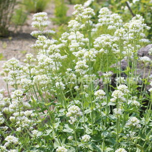 xjJmR\E iZgTXj eXm[NEhf