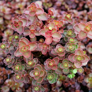 Z_iR[JTXL\Ej ehSY ubhf