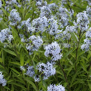 i`EW\Ej eXg[ NEhfiA\jA eXg[ NEhfj