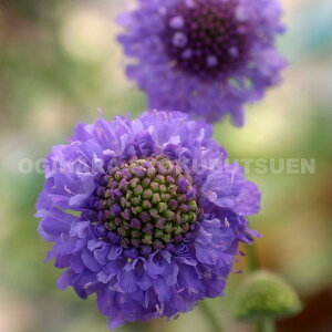 iXJrITjeIbNXtH[h u[f