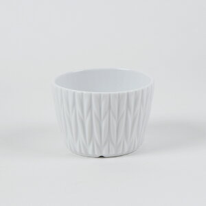 yP10{zjbg  {  }`Jbv ɂH Jbv T_ fU[g \ Vv  킢 Ղ  pXeJ[  I[uOK HOK 