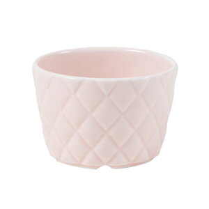 y50%OFFzLg  {  }`Jbv ɂH Jbv T_ fU[g \ Vv  킢 Ղ Lg LeBO  pXeJ[  I