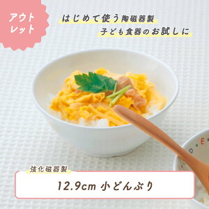 y1000~|bLz12.9cm{[  {[ ɂ y g₷ ۈ牀Ŏgp ₷d˂₷ [ǂ 芴Q  `q ђq ǂH qH LbYH